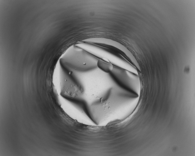 X0000116810190201001081403