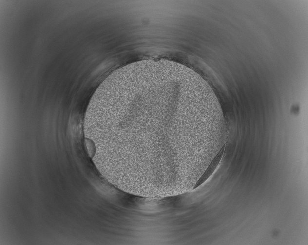 X0000116810191201001081403