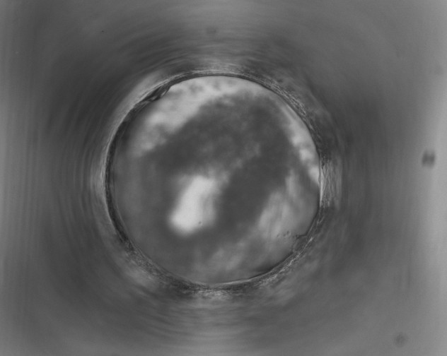 X0000116810195201001081402