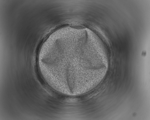 X0000116810202201001081402