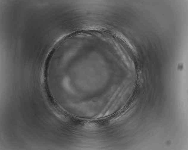 X0000116810203201001081402