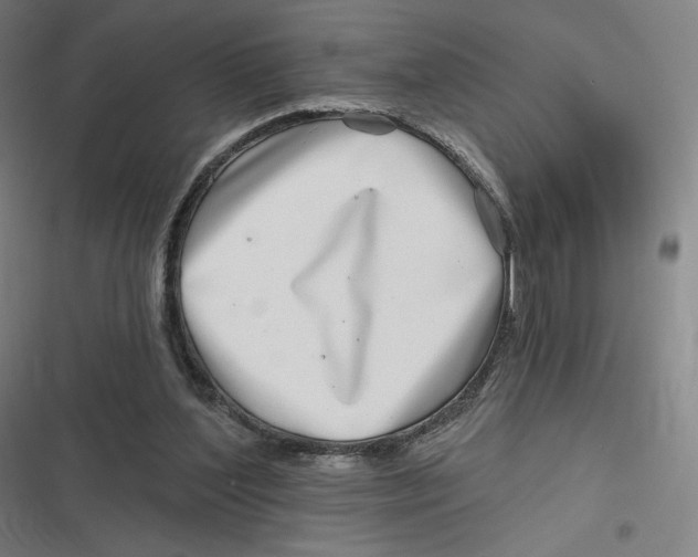 X0000116810204201001081402
