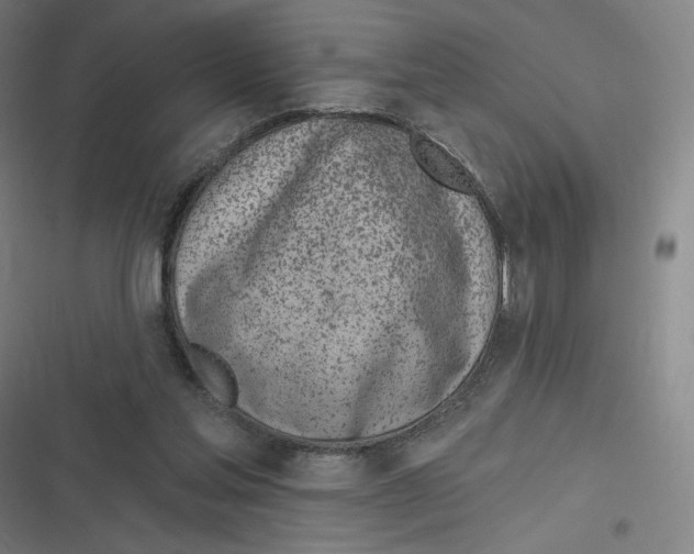 X0000116810205201001081402