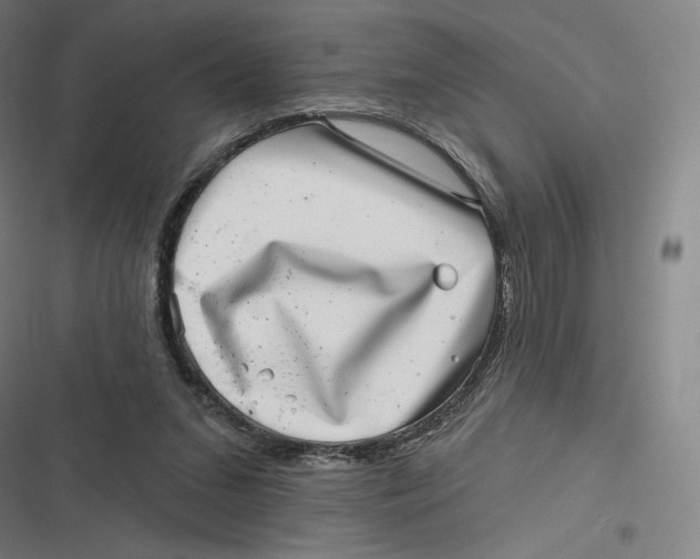 X0000116810207201001081402