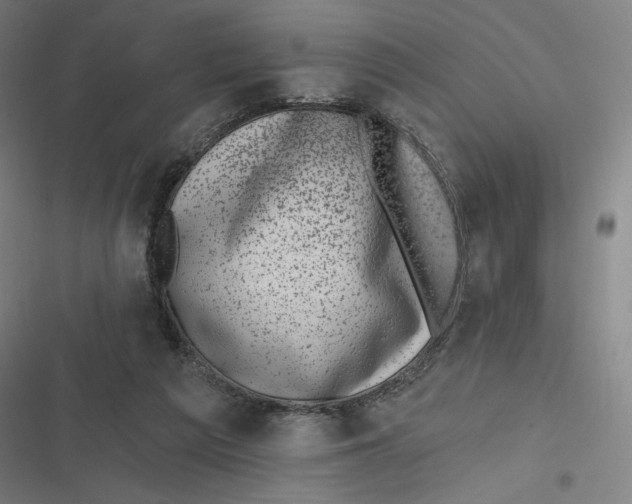 X0000116810209201001081402