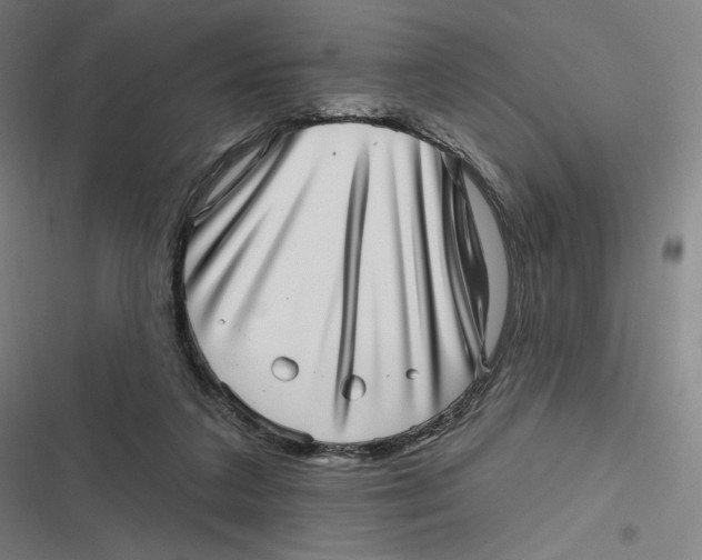 X0000116810211201001081402