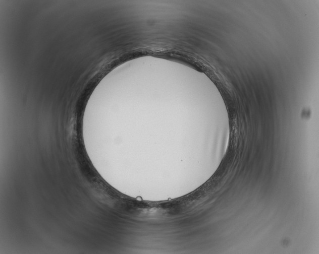 X0000116810212201001081402