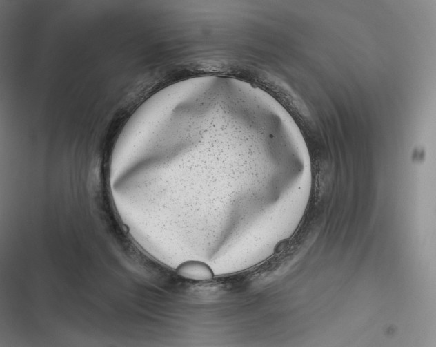 X0000116810213201001081402