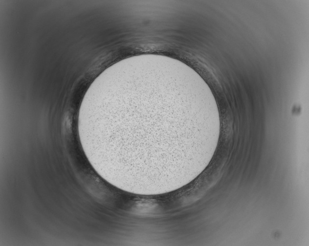 X0000116810214201001081402