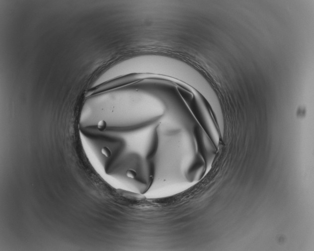 X0000116810215201001081402