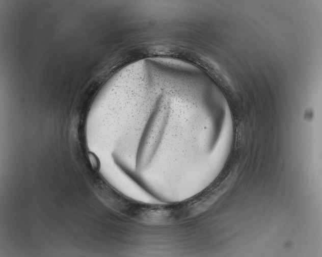 X0000116810217201001081402