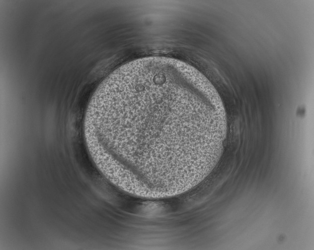 X0000116810218201001081402