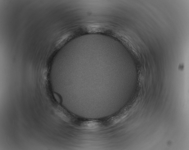X0000116810219201001081402