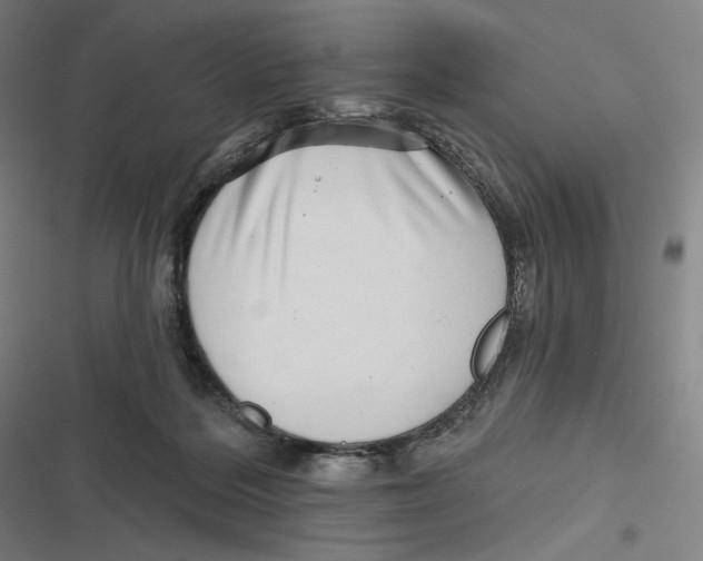 X0000116810220201001081402