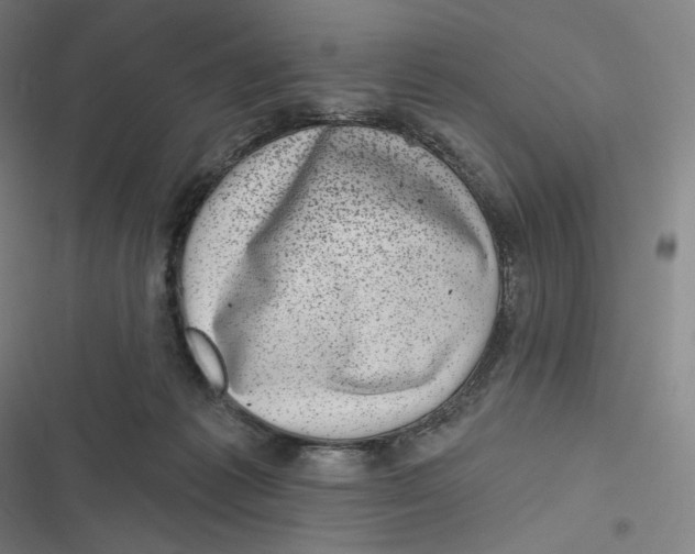 X0000116810221201001081402