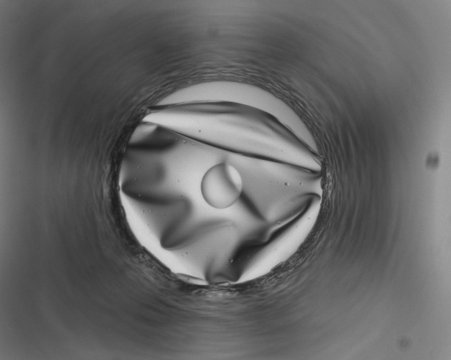 X0000116810223201001081402