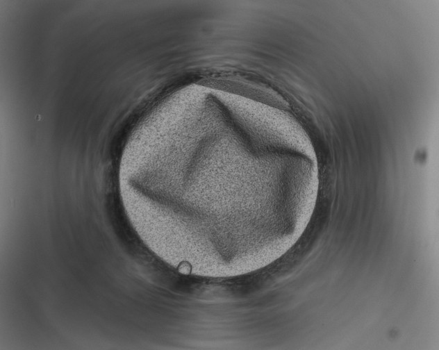 X0000116810224201001081402
