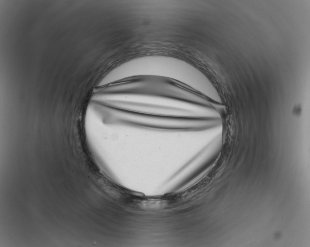 X0000116810225201001081402