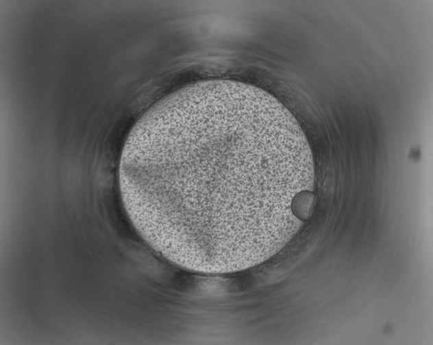X0000116810226201001081402