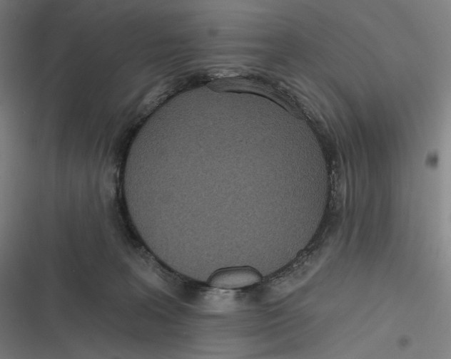 X0000116810227201001081402