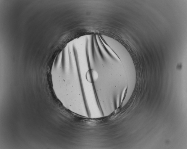 X0000116810229201001081402