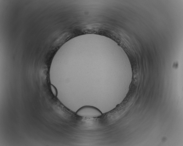 X0000116810231201001081402