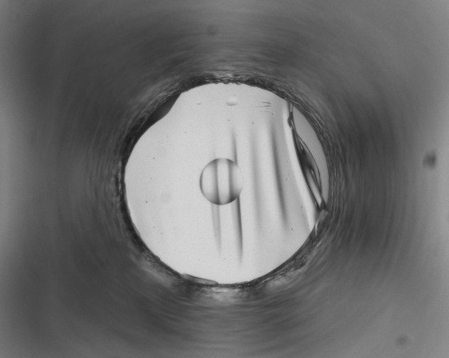 X0000116810233201001081402