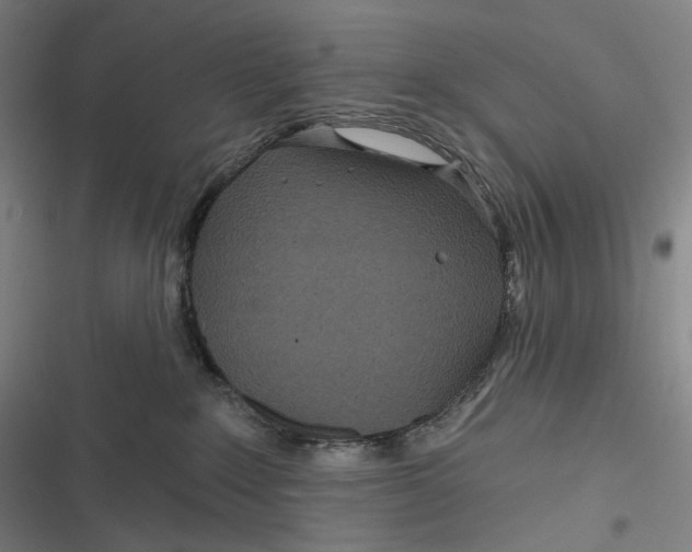 X0000116810235201001081402