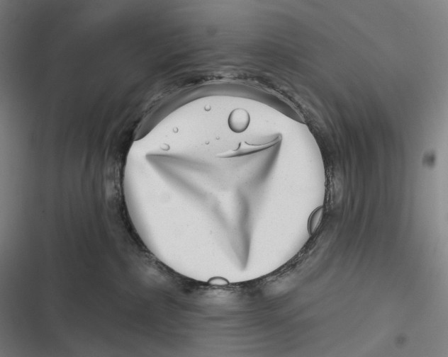 X0000116810236201001081402