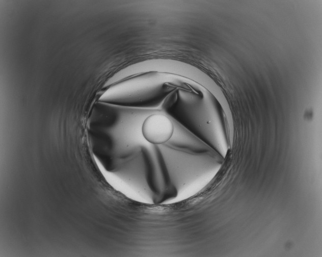 X0000116810237201001081402