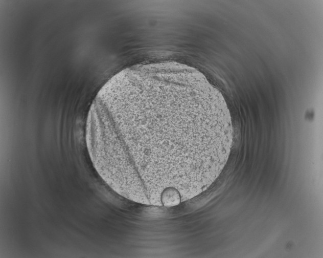 X0000116810238201001081402