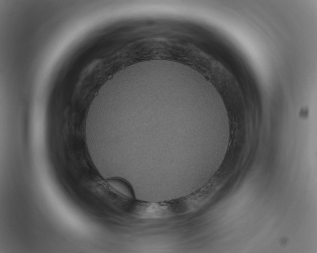 X0000116810239201001081402