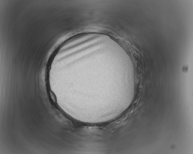 X0000116810244201001081401