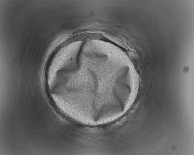 X0000116810245201001081401