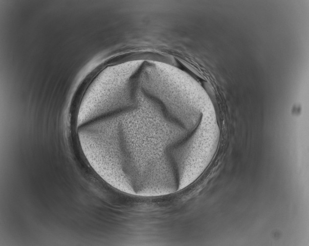X0000116810246201001081401