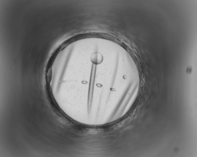 X0000116810248201001081401