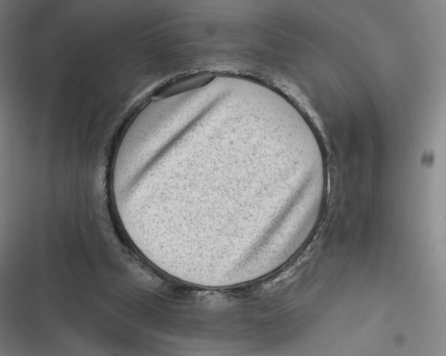 X0000116810249201001081401