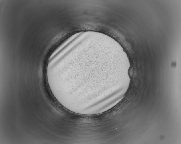 X0000116810250201001081401