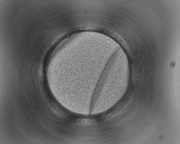 X0000116810251201001081401