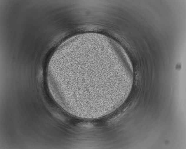 X0000116810254201001081401