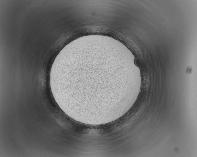 X0000116810255201001081401