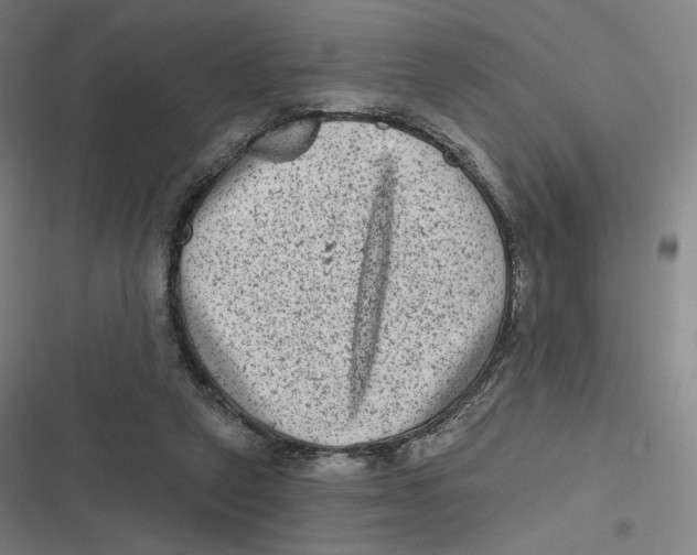 X0000116810257201001081401