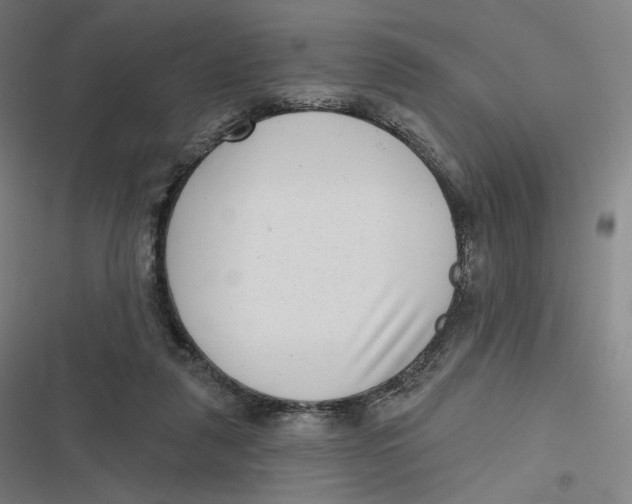 X0000116810259201001081401