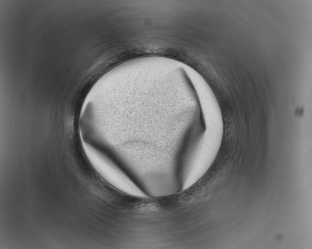 X0000116810262201001081401