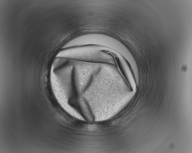 X0000116810264201001081401