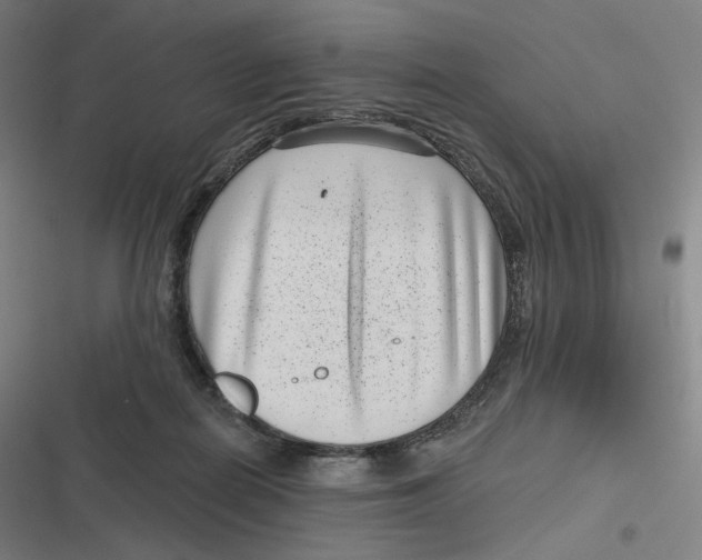 X0000116810266201001081401