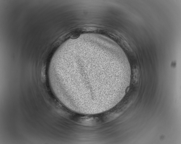 X0000116810267201001081401