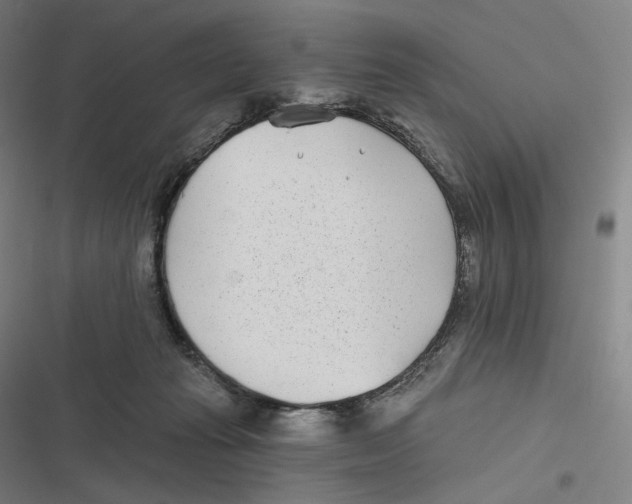 X0000116810269201001081401