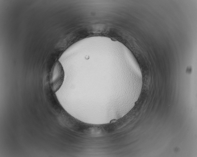 X0000116810272201001081401