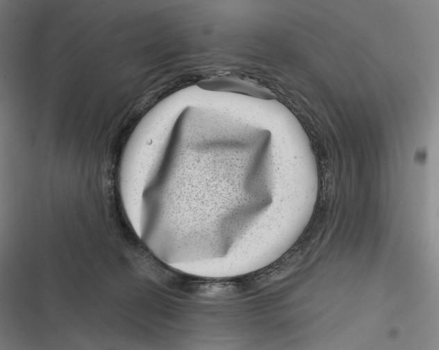 X0000116810274201001081401